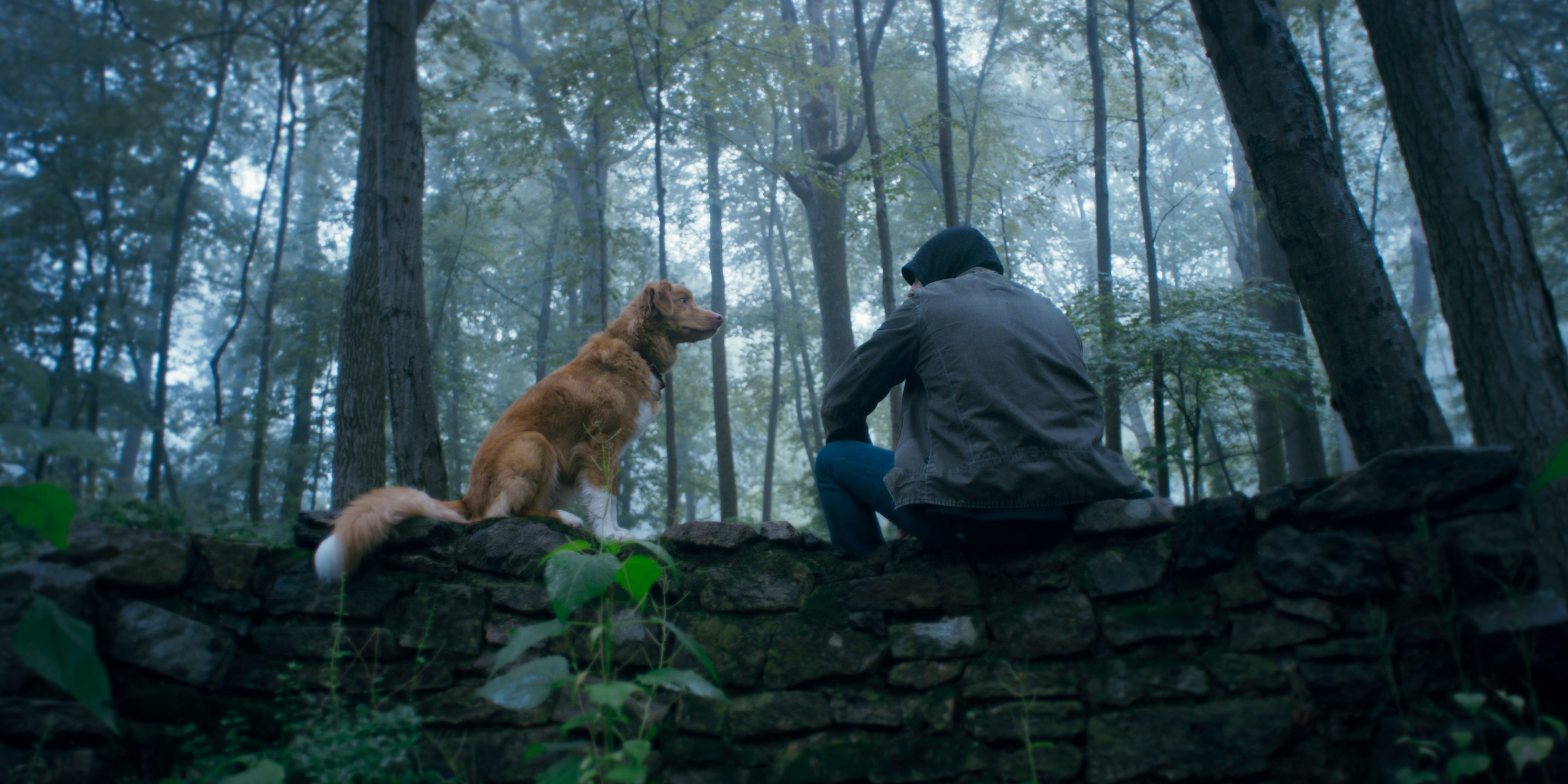 Good Boy (2025) Review: A Haunting Horror Told Through a Dog’s Eyes